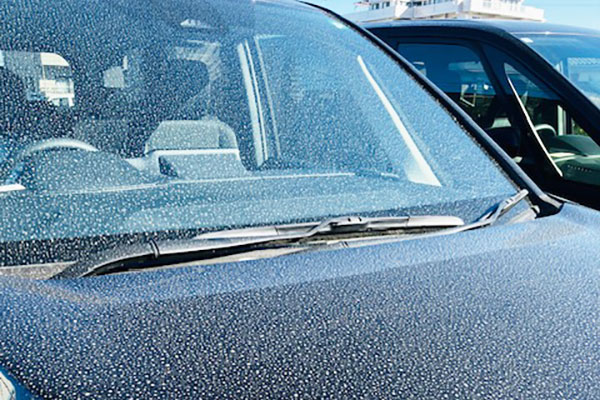 20250220_yamatonishi_0